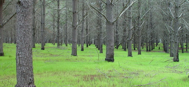 dsc20050813_115856_52