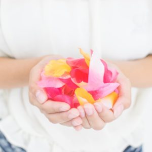 関連記事のテスト